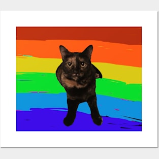 Rainbow Cat 2 Posters and Art